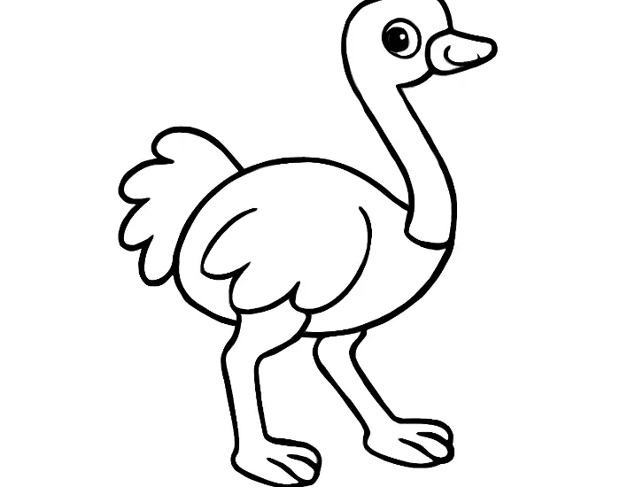 Ostrich – ऑनलाइन रंग भरो 🎨 बच्चों के लिए